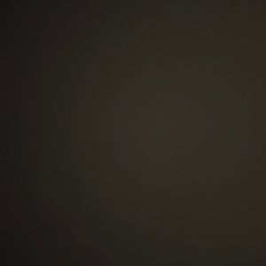 Girl's / Teen Assorted Socks, Tights